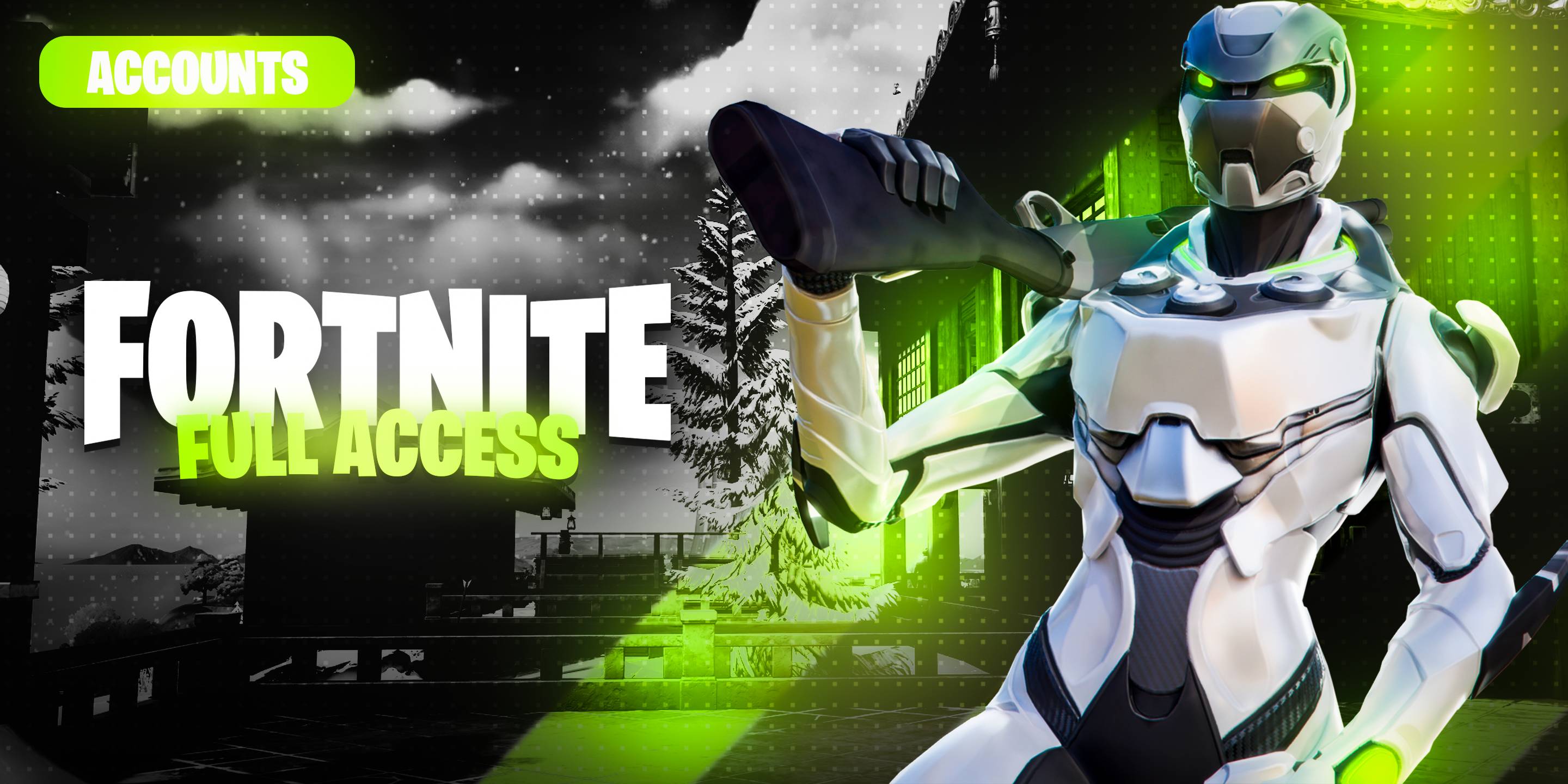 Fortnite Account Full Access